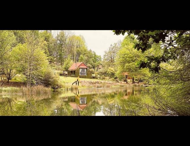 FARM FOR SALE IN TZANEEN RURAL